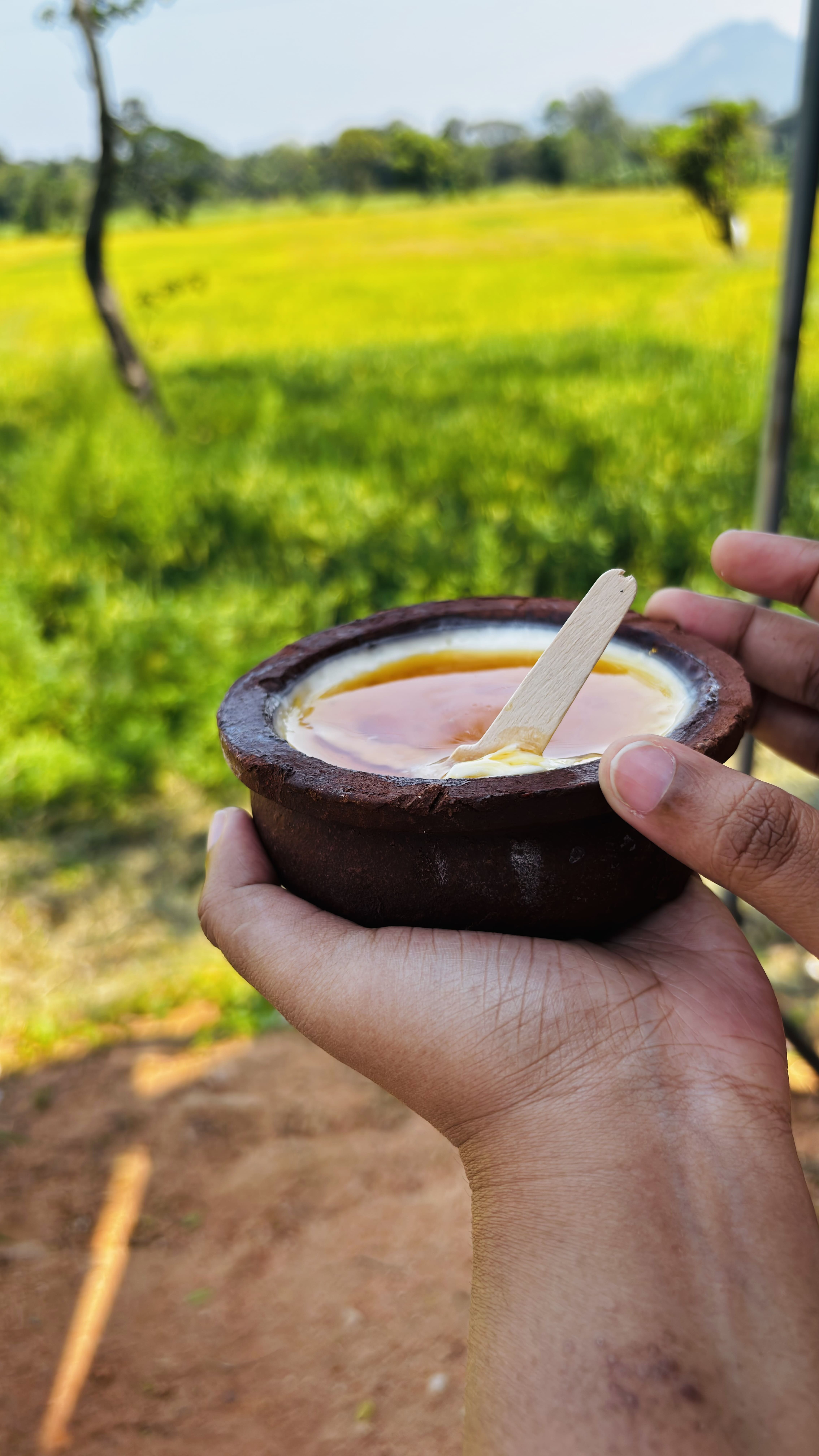 A Taste of Tradition: Sri Lankan Curd & Kithul Treacle