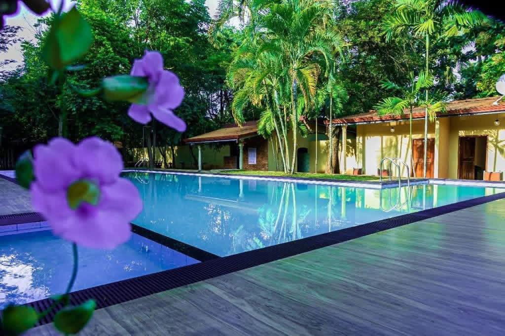 Resort In Dambulla